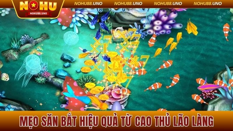 Mẹo săn bắt hiệu quả từ cao thủ lão làng